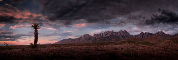 Las Cruces Real Estate Lifestyle Photo 01