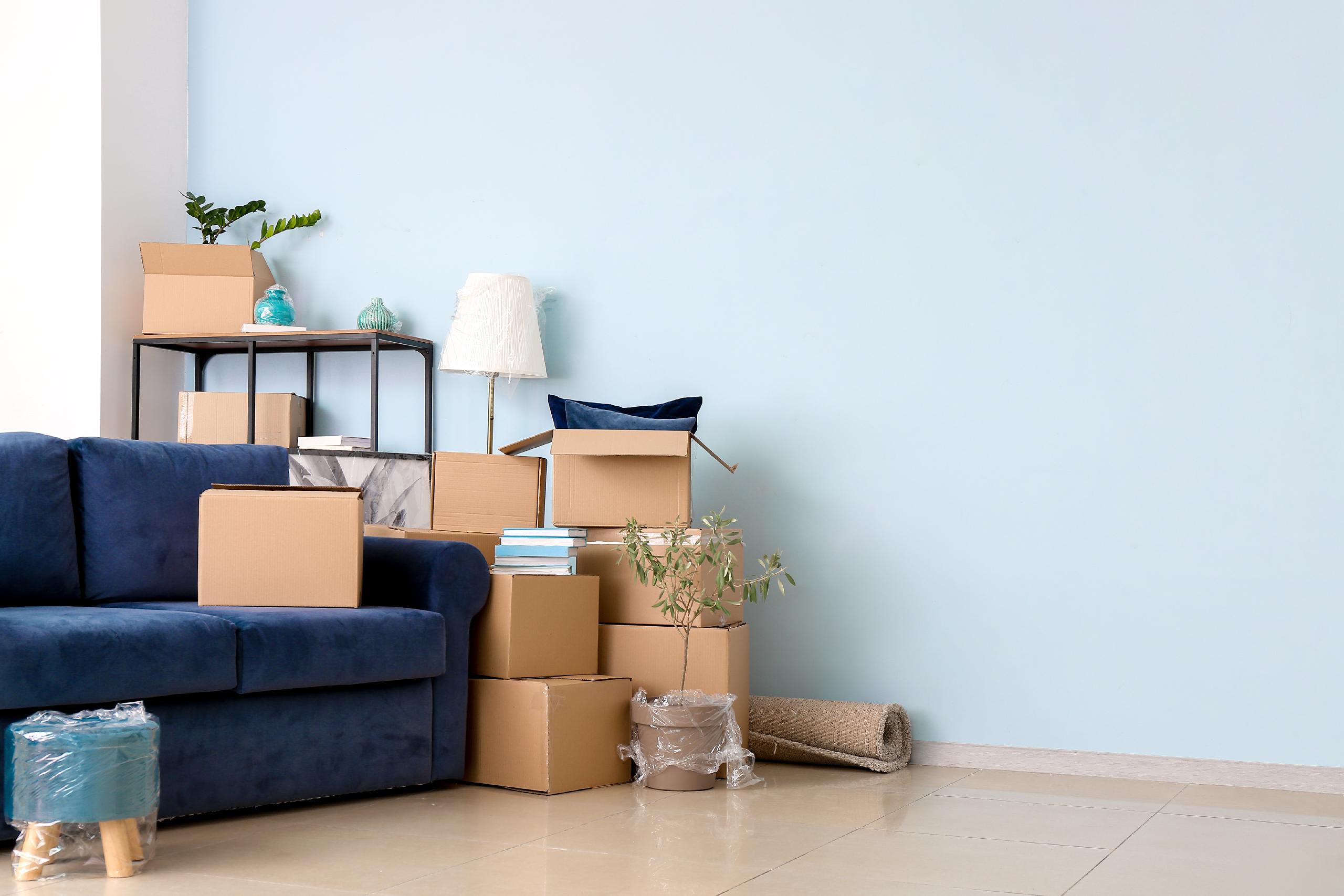 Relocation Image