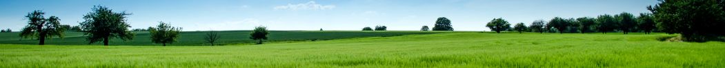 Lot & Land Listings