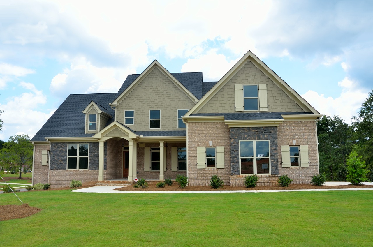 Finding A Home Picture