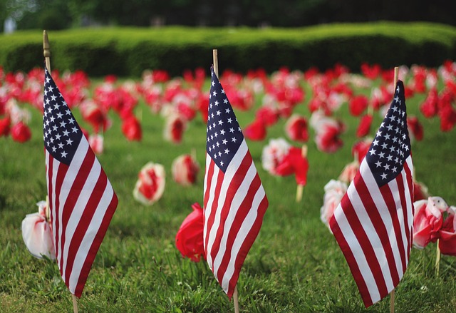 Weekly Blog - Memorial Day Weekend Main Photo