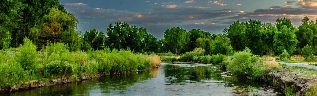 weiser
