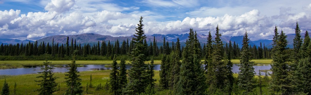 Land Picture