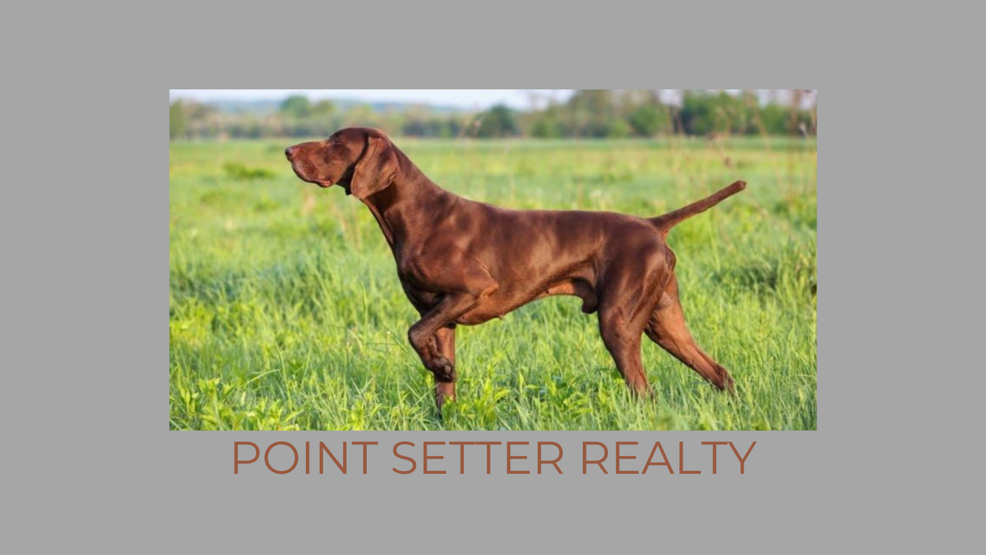 Point Setter Realty Logo