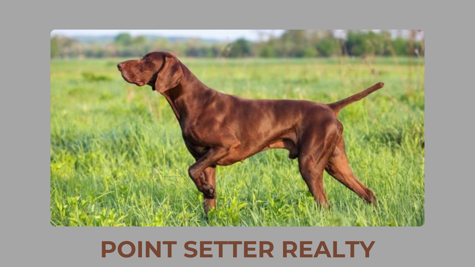 Point Setter Realty Logo
