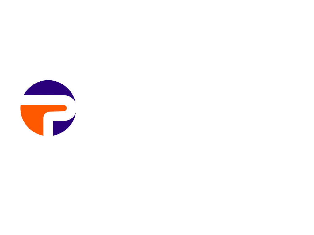 Clement George - Pontis Realty Inc. Logo