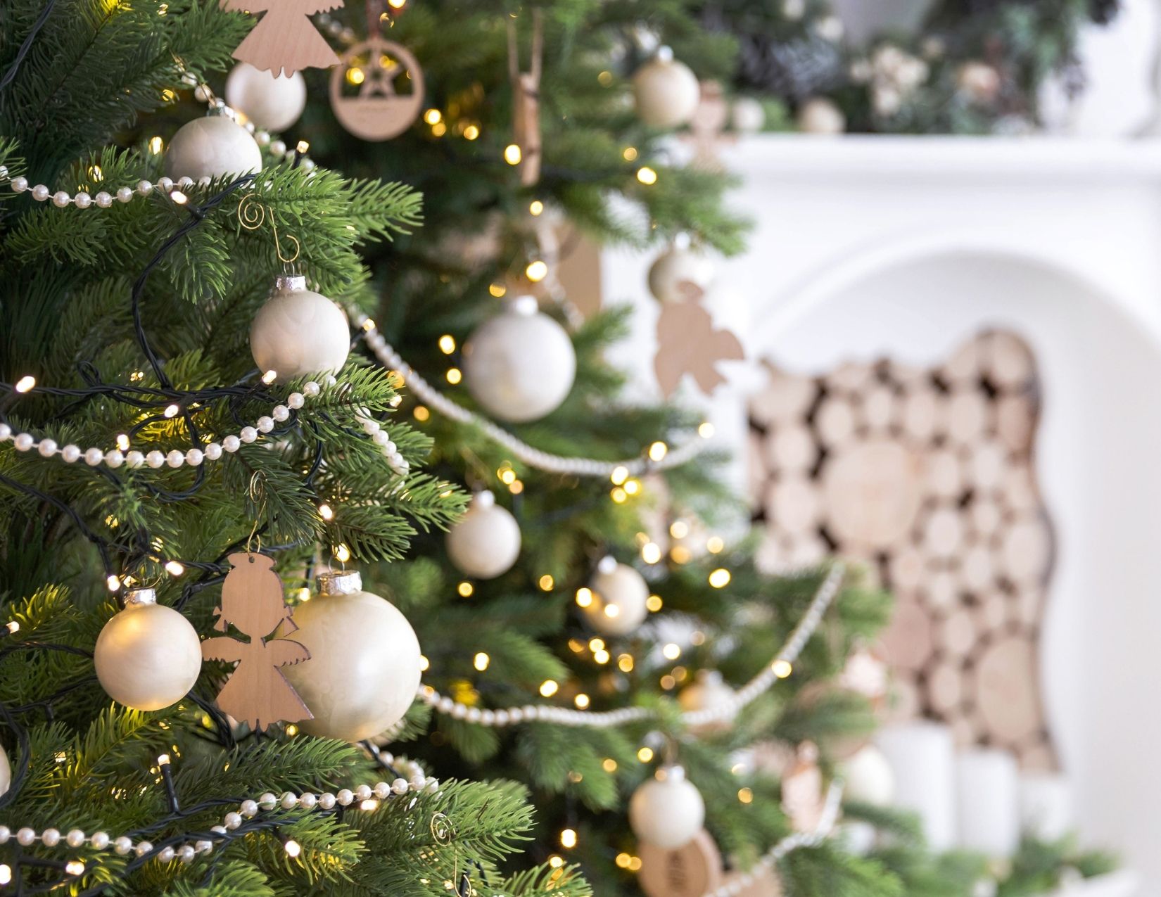 Christmas Trees 101 Main Photo