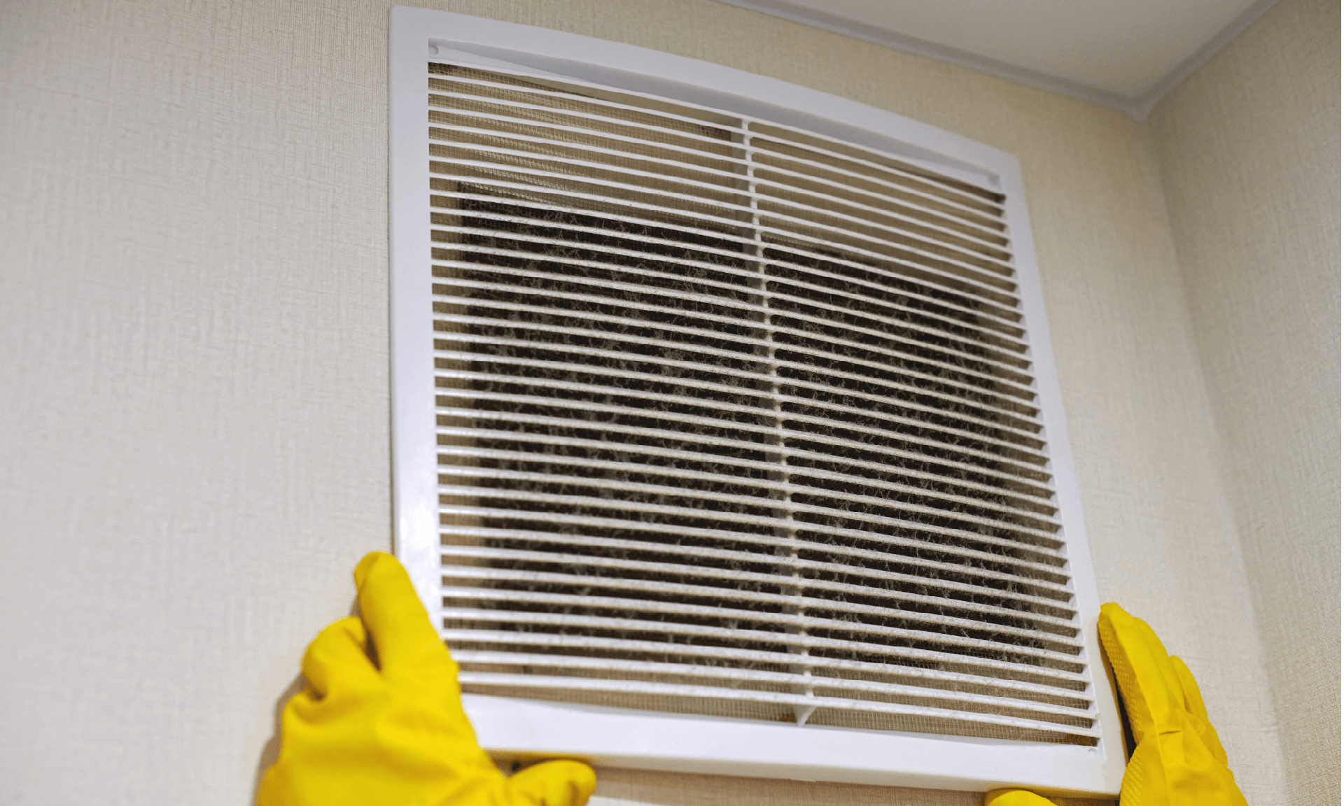 Reduce Household Allergens Main Photo