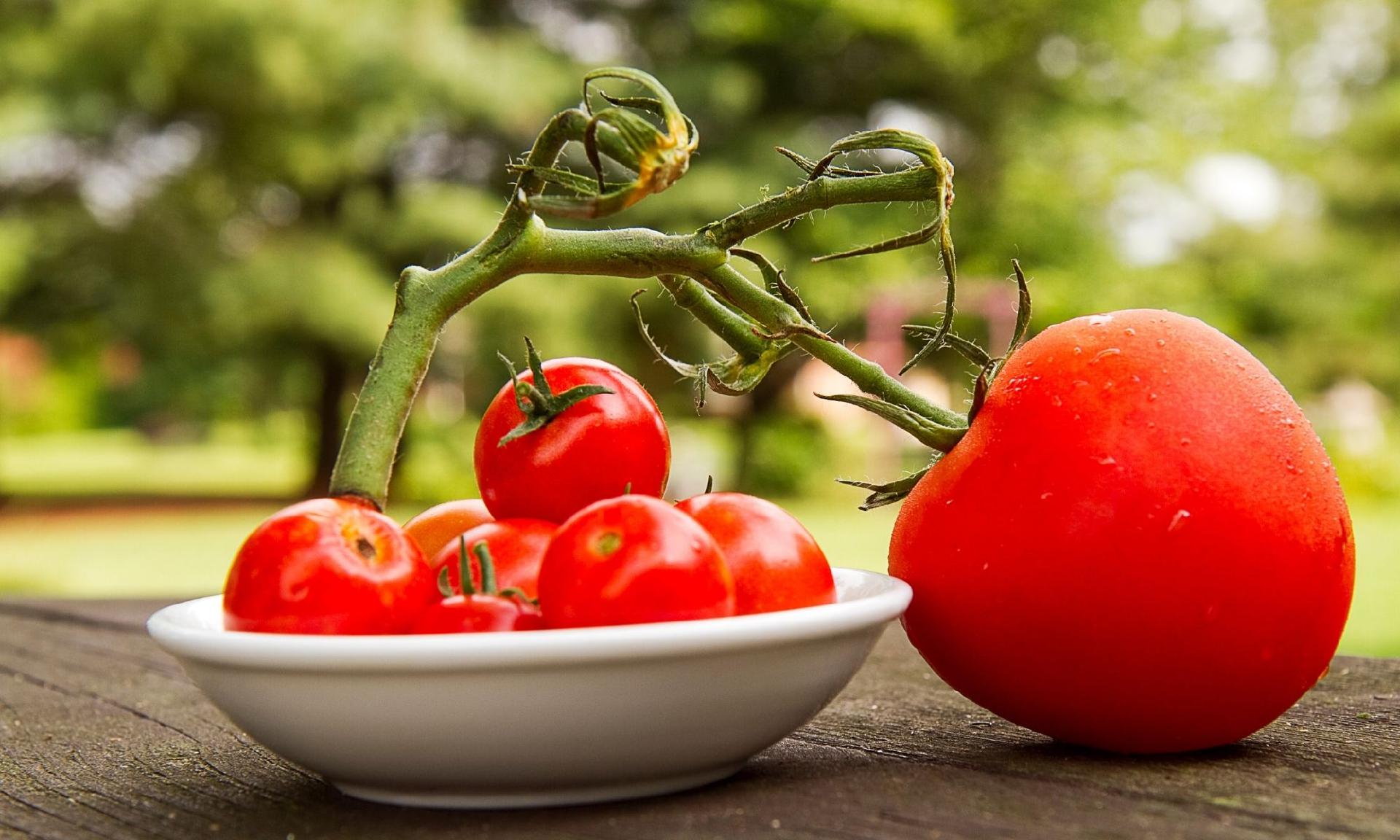 Ten Proven Gardening Techniques Main Photo