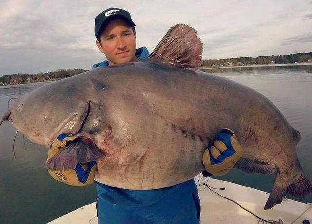 Legendary Catches Main Photo