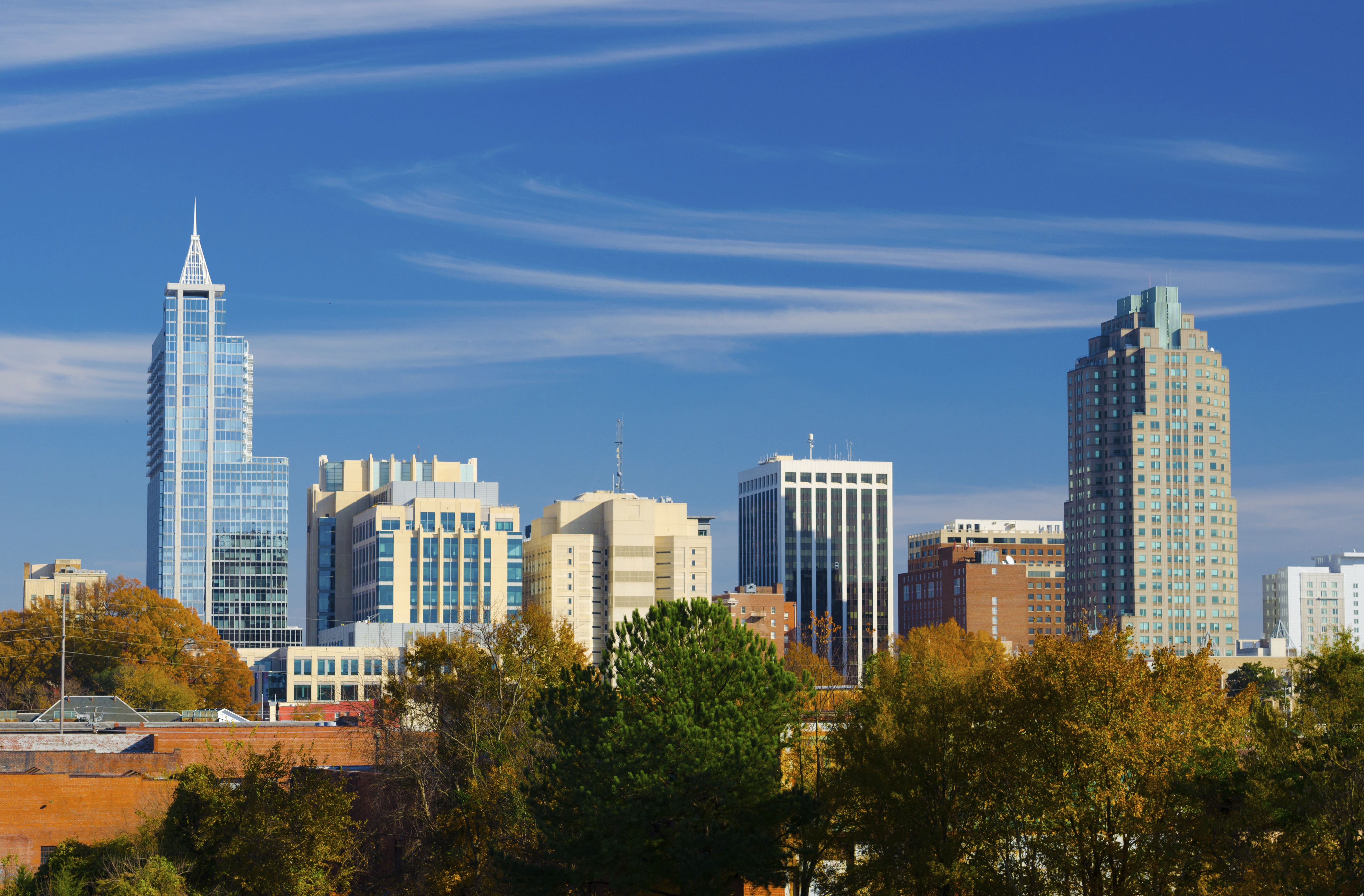 Downtown Raleigh Main Photo