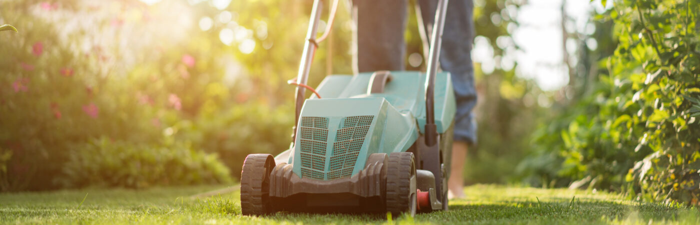 5 Things to Do to Your Grass This Fall Main Photo