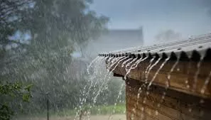 Why shopping in the rain can benefit you! Picture