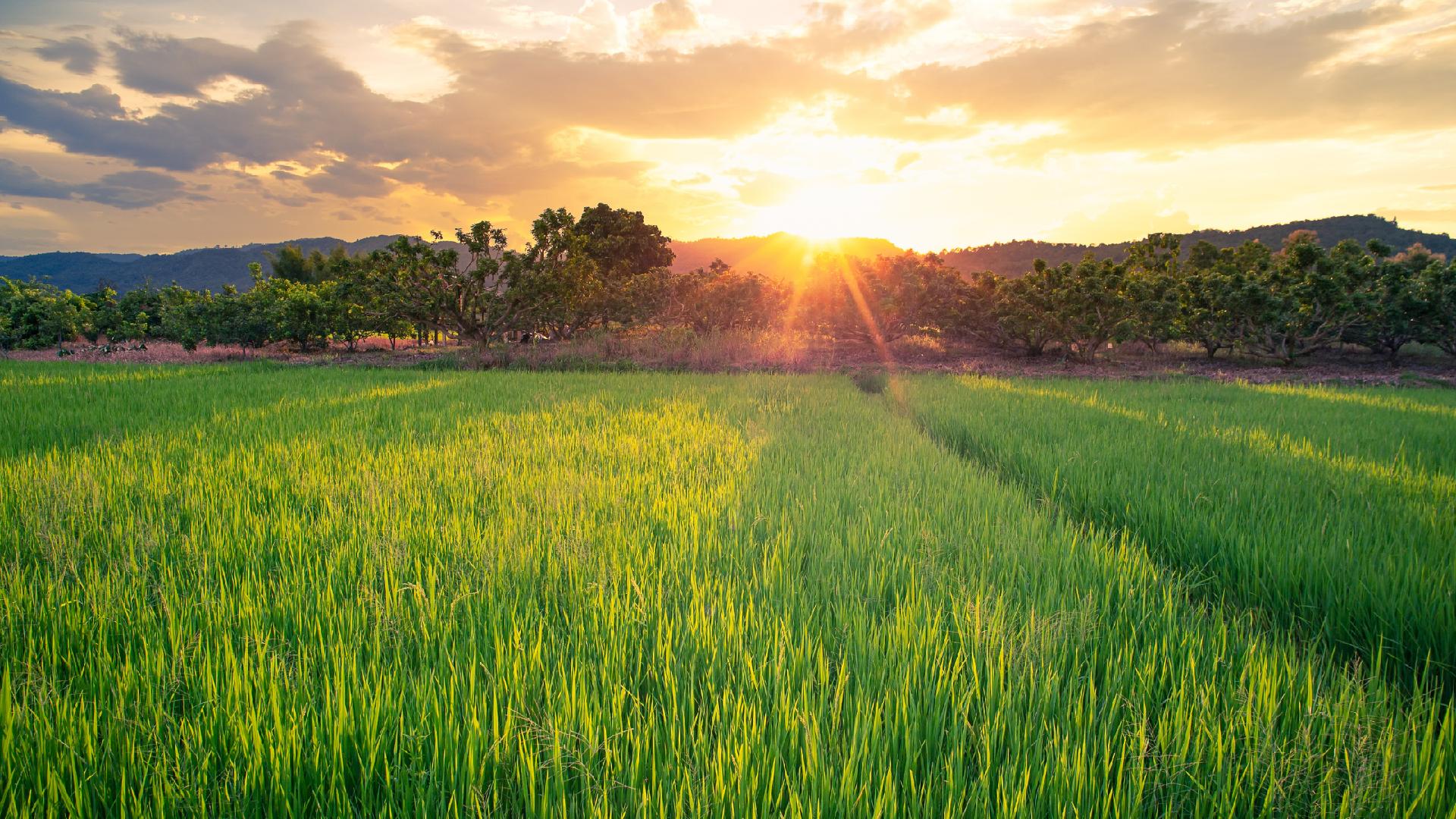 2021 Texas Rural Land Value Trends Main Photo