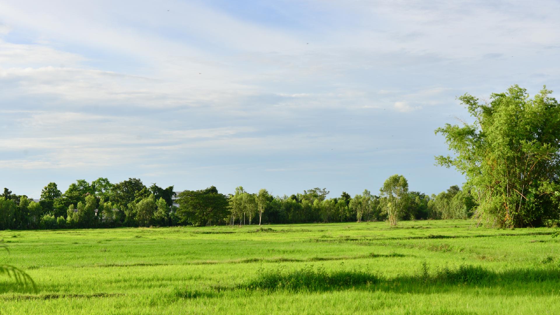 Court Addresses Adverse Possession in Dispute Between Neighbors Main Photo