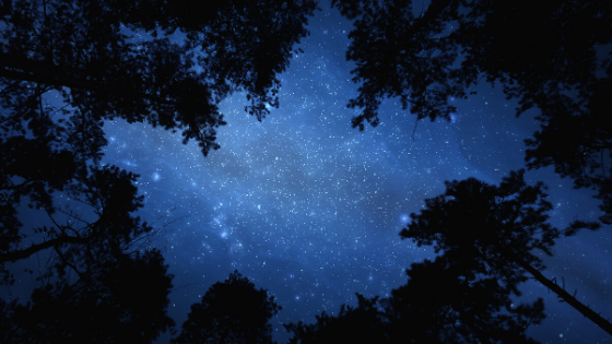 Stargazing in Texas: 4 Spectacular Views Main Photo