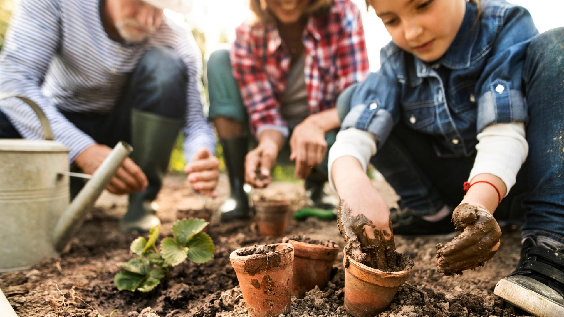 6 Landscaping Trends That Can Help Increase the Value of Your Home Main Photo