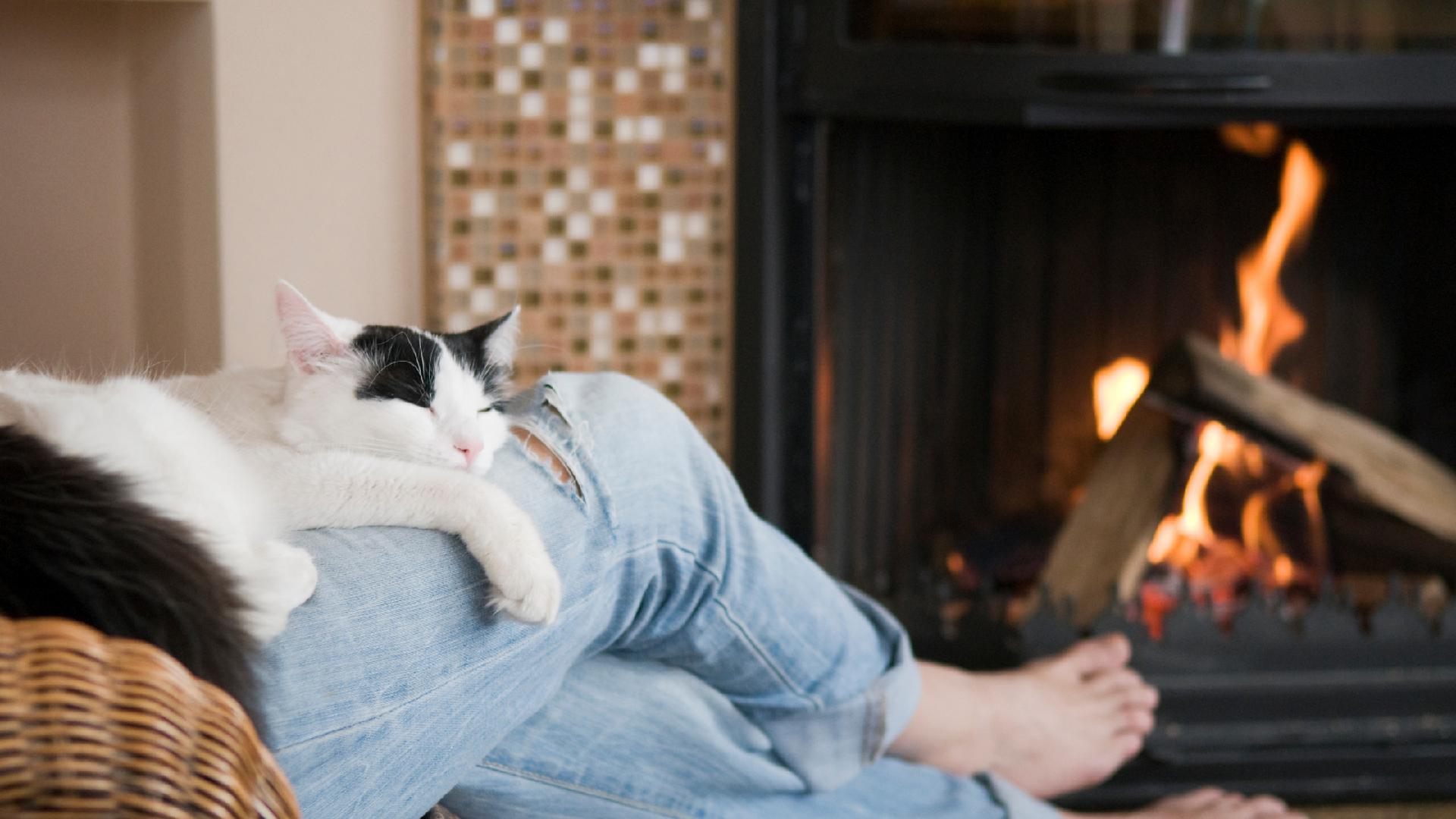 Turn Your Home Into A Relaxing Oasis Main Photo