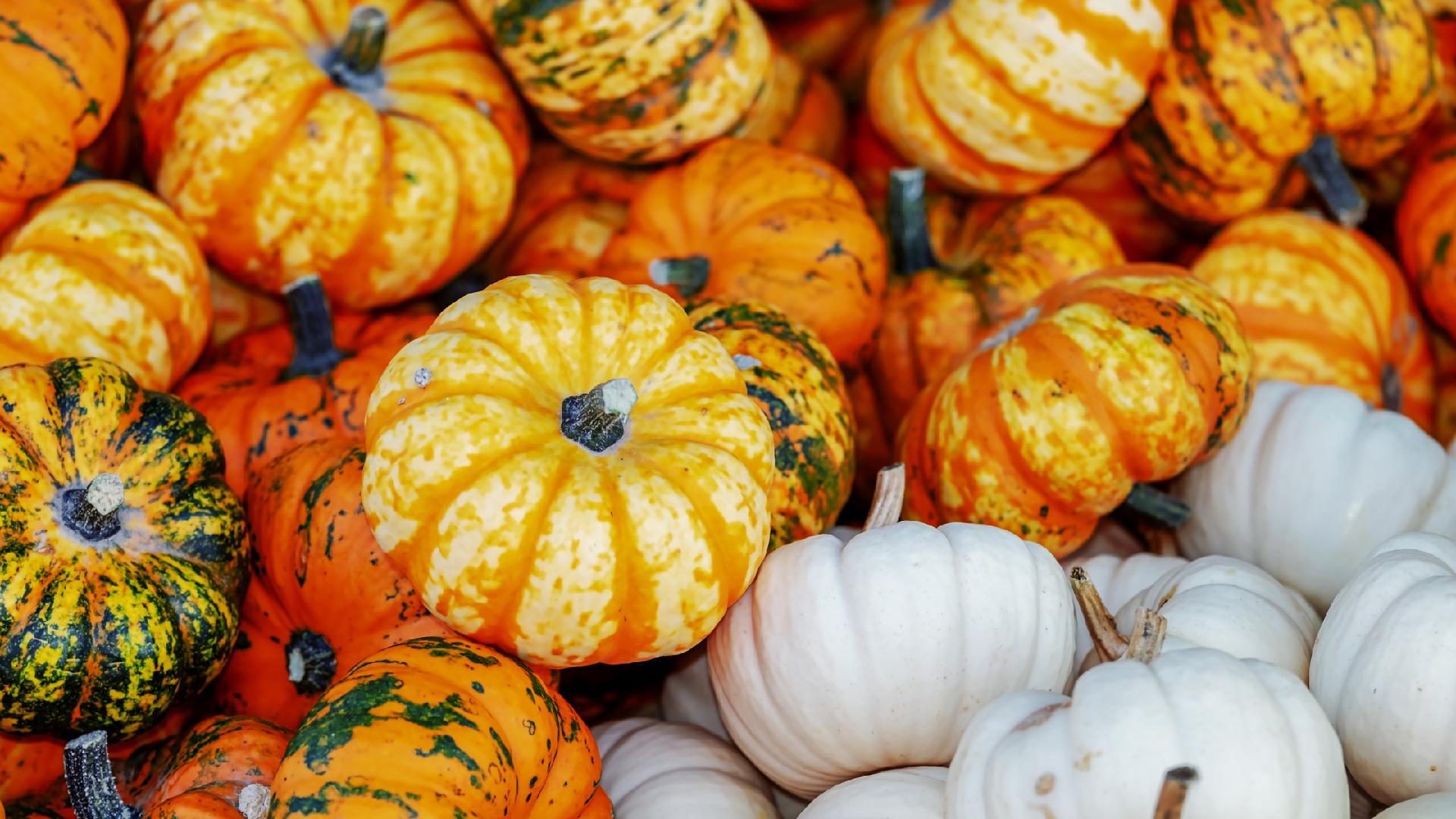 5 Simple Ideas for Fall Home Makeovers Main Photo