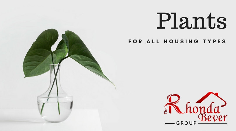 Plants for All Housing Types Main Photo