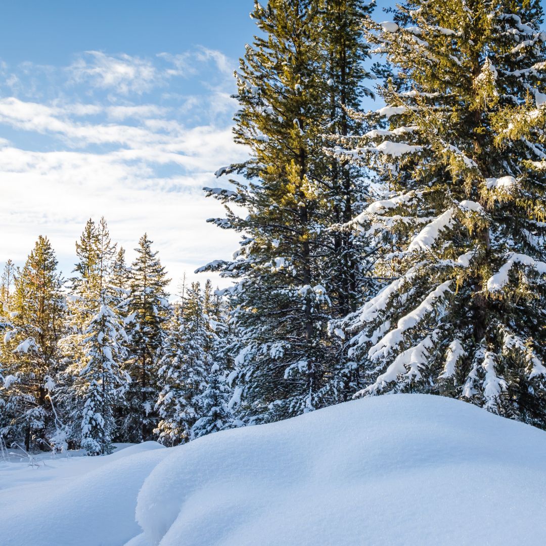 Preparing Your Home for Winter in Bozeman Main Photo