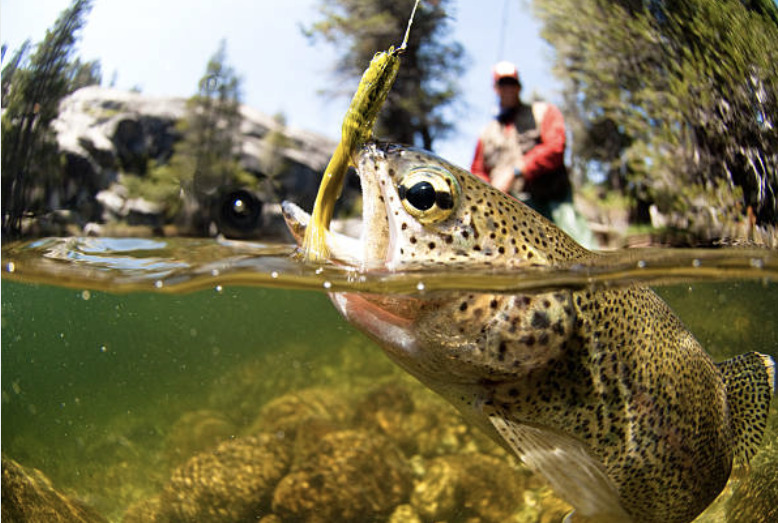 Getting Hooked on Bozeman Main Photo