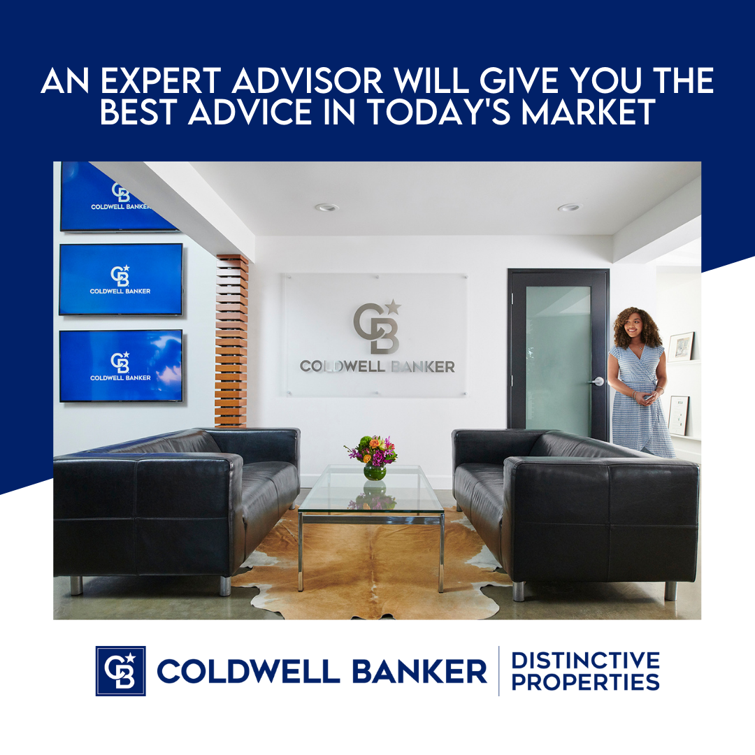 An Expert Advisor Will Give You the Best Advice in Today’s Market Main Photo
