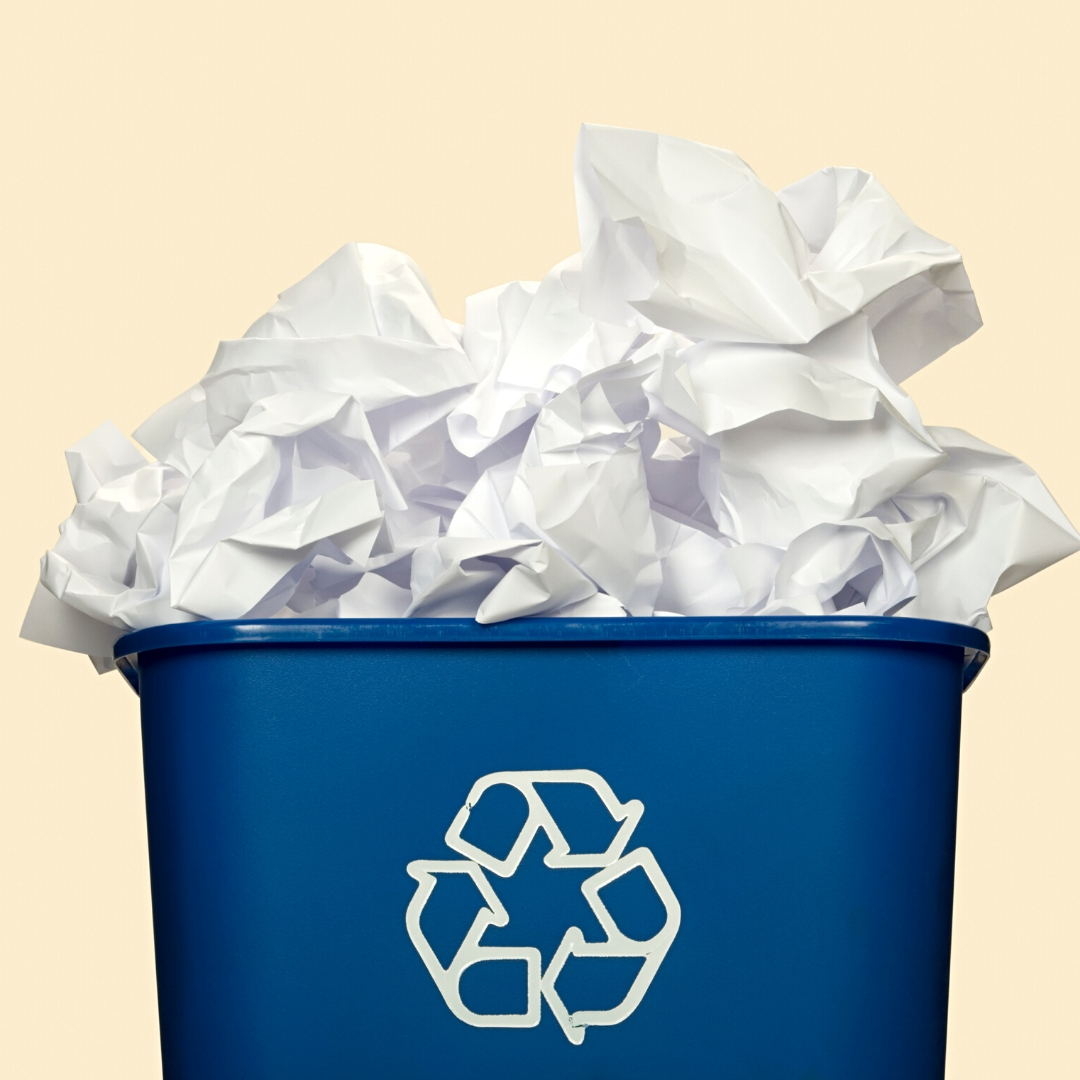 4 Ways to Make Your Open House Event More Sustainable Main Photo