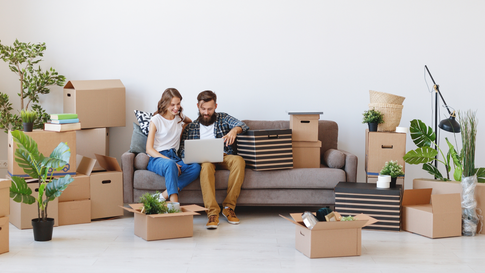 How to Safely Move your Plants to your New Home Main Photo