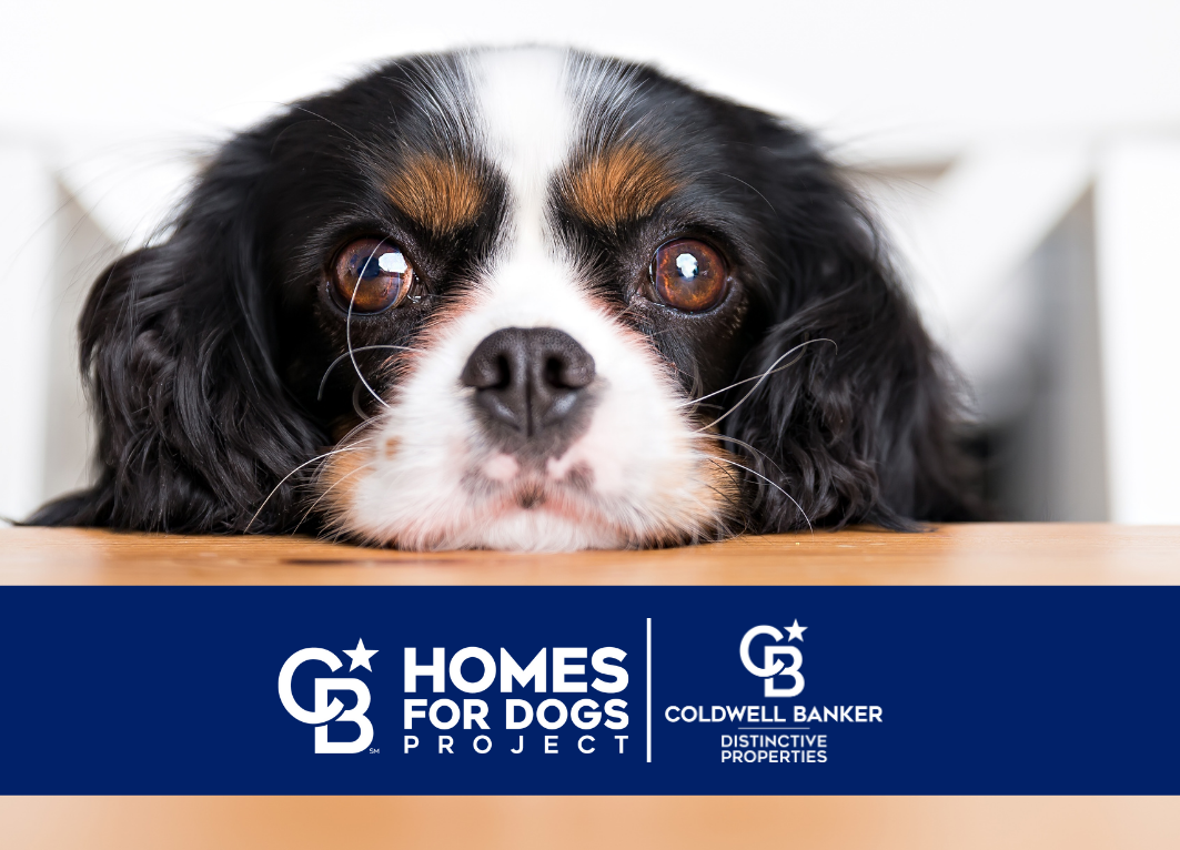Coldwell Banker Distinctive Properties Helps Find FURever Homes for 107 Pets! Main Photo