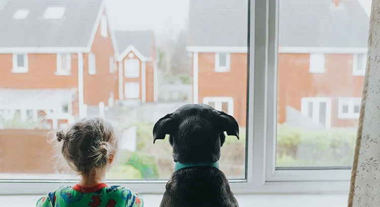 Are There Going to Be More Homes to Buy This Year? Main Photo