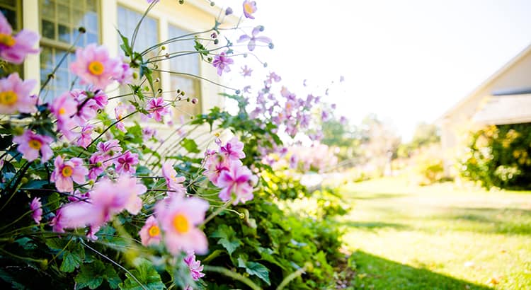 Will the Housing Market Bloom This Spring? Main Photo