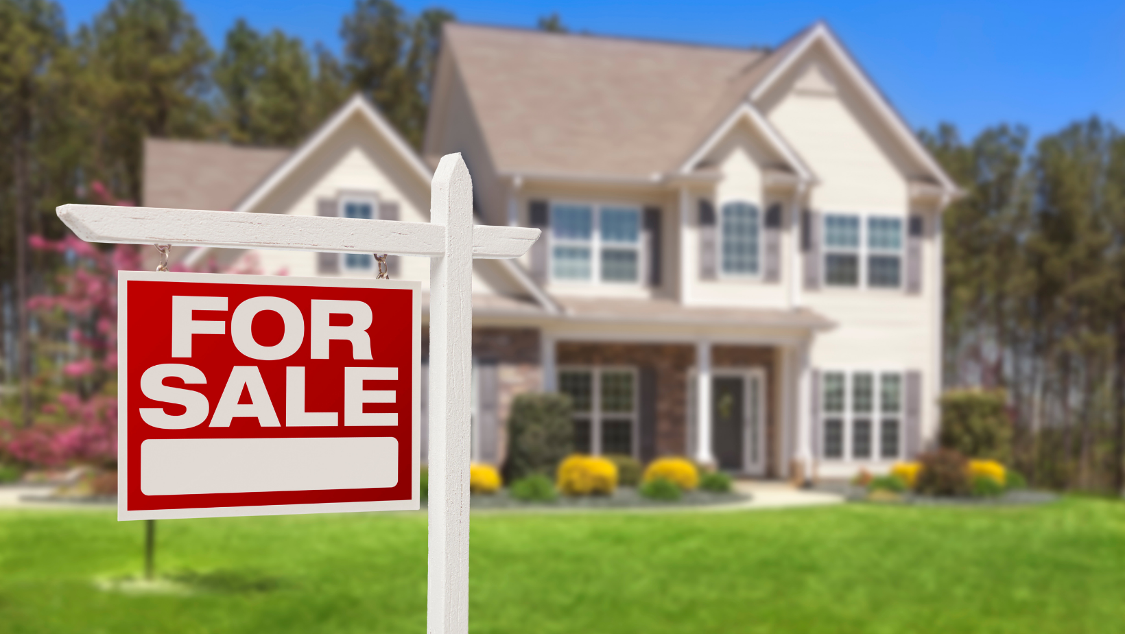 Using a Realtor vs. For Sale By Owner Main Photo