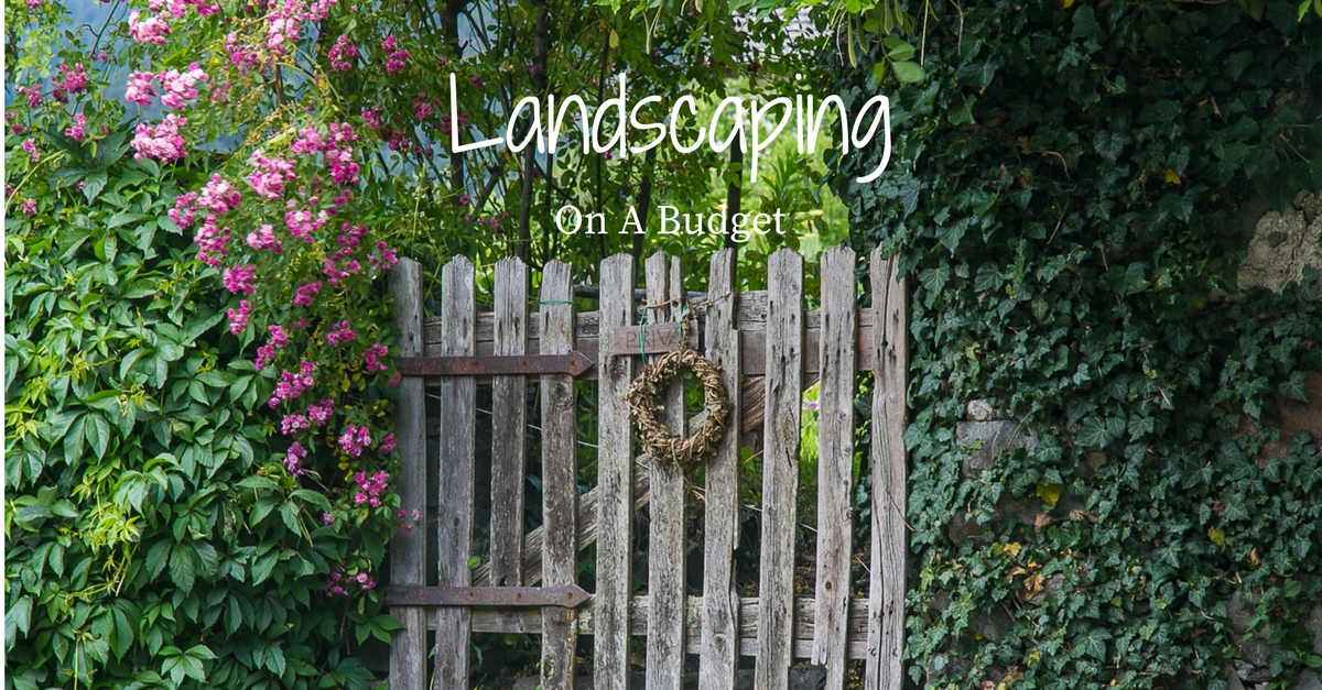 Landscaping on a Budget Main Photo