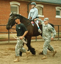 Heros and Horses helps vets Main Photo