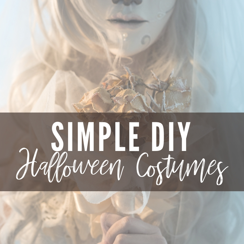 Simple DIY Halloween Costumes Main Photo