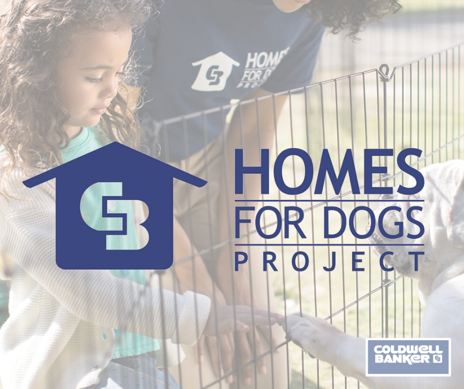 Homes for Dogs Project Main Photo
