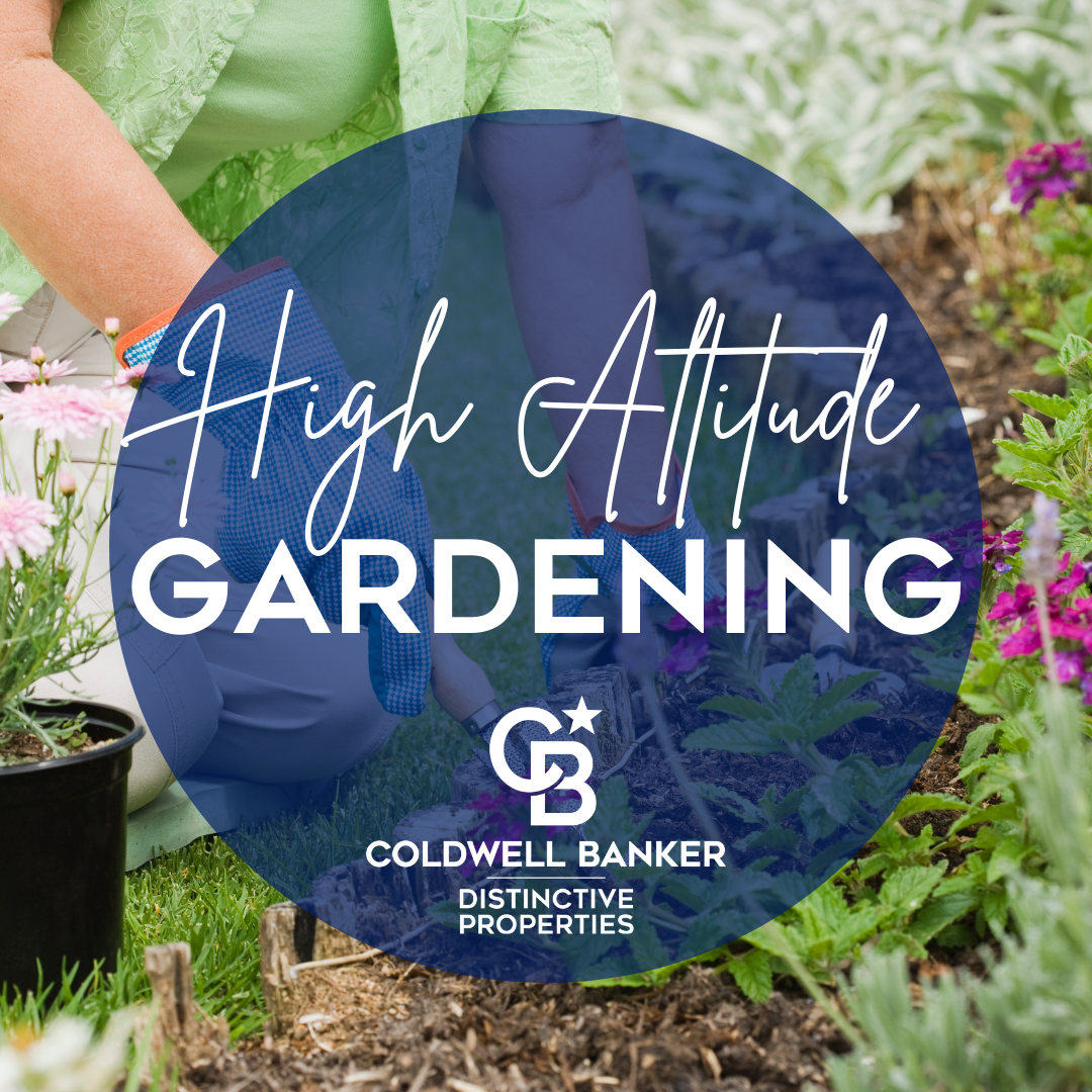 High Altitude Gardening Main Photo