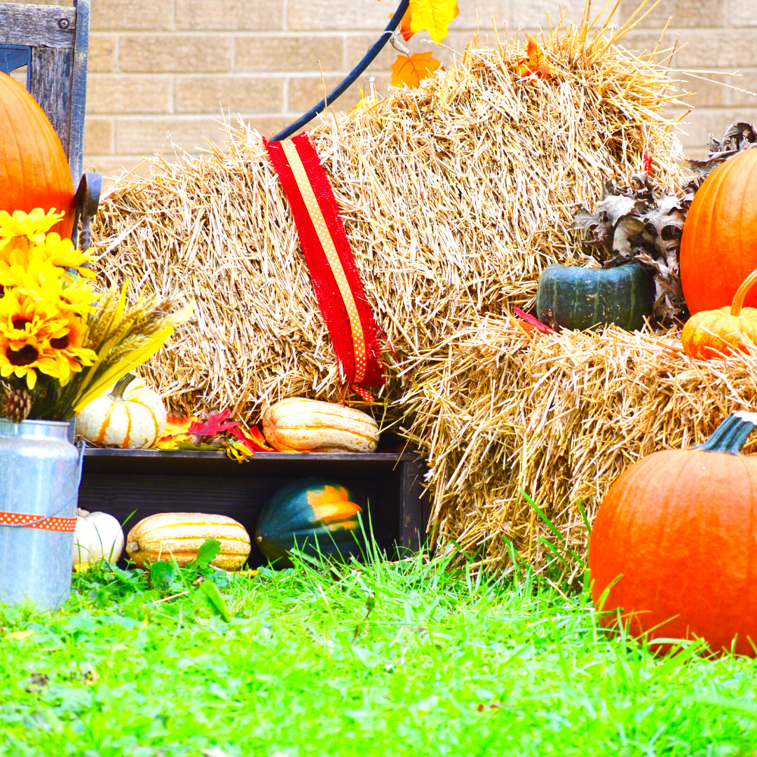 Community Spotlight: Fruita Fall Festival Main Photo