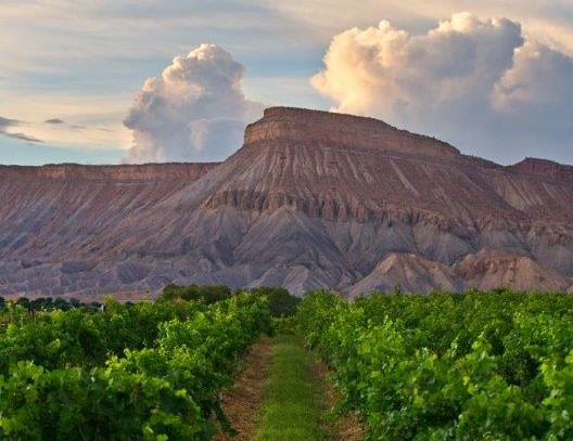 5 Summer Activities in Grand Junction Main Photo