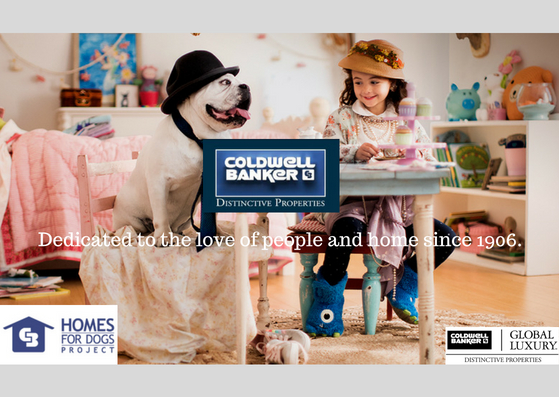 Coldwell Banker Distinctive Properties National Adoption Weekend Main Photo