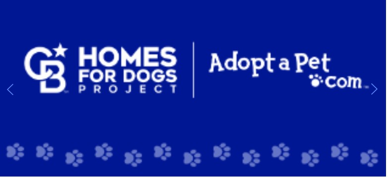 Finding Homes for Home’s Best Friend Main Photo