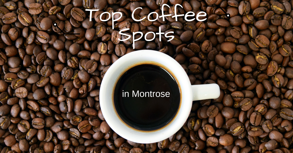 Top Coffee Spots in Montrose Main Photo