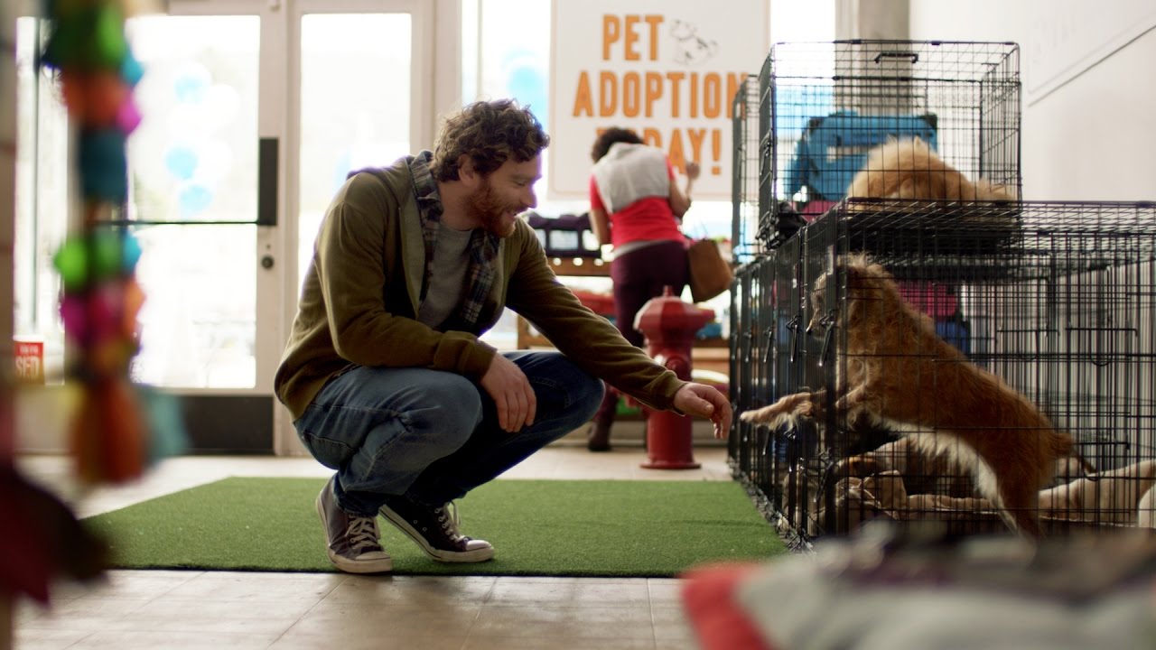 Homes For Dogs Project Main Photo