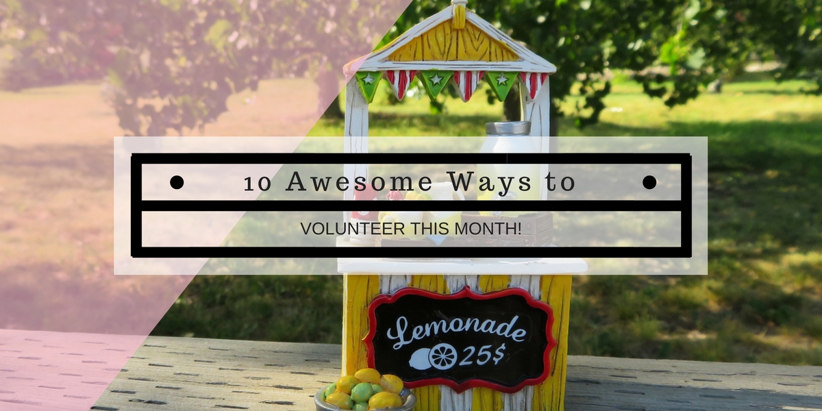 10 Awesome Ways to Volunteer this Month! Main Photo