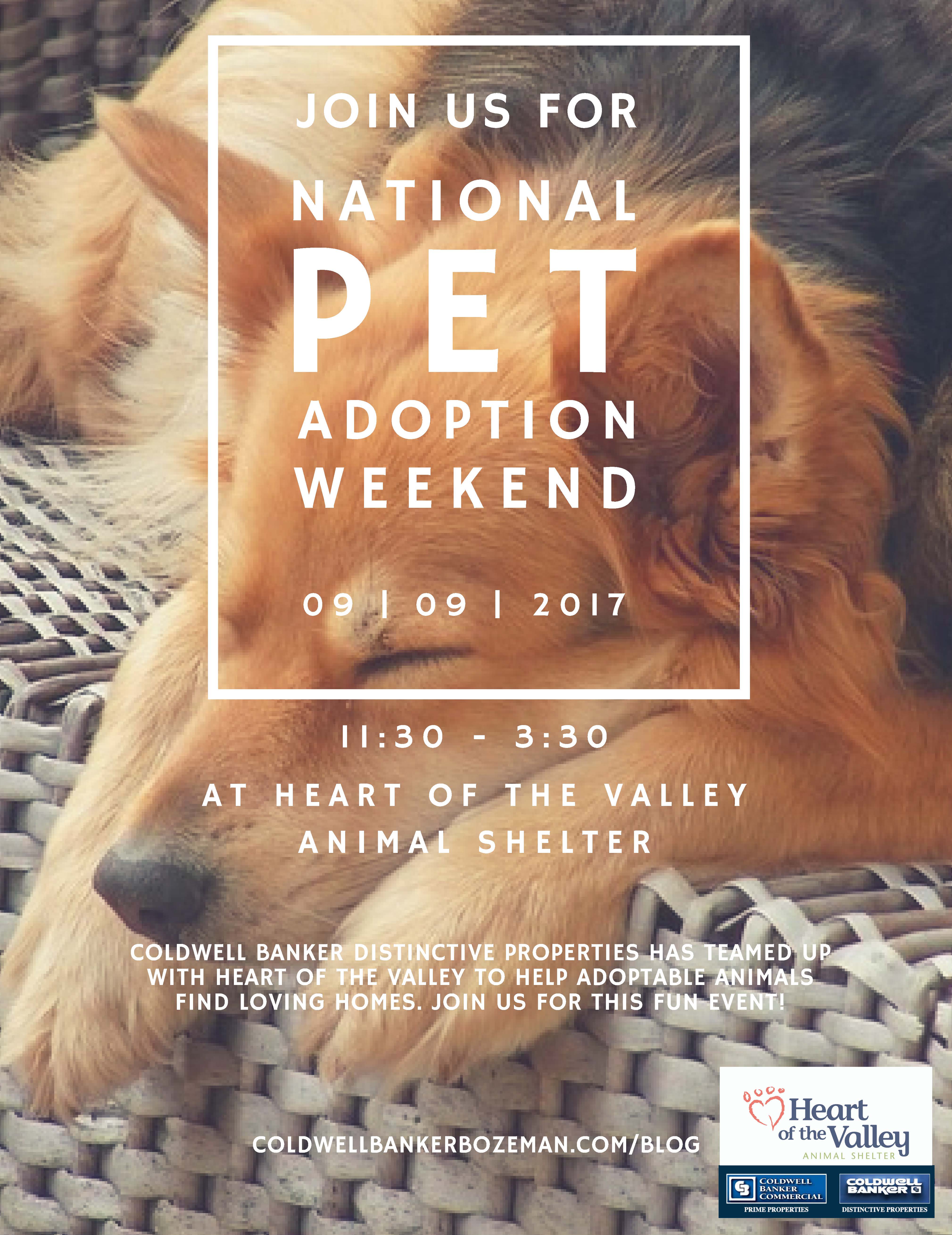 Pet Adoption Day at Heart of the Valley Main Photo