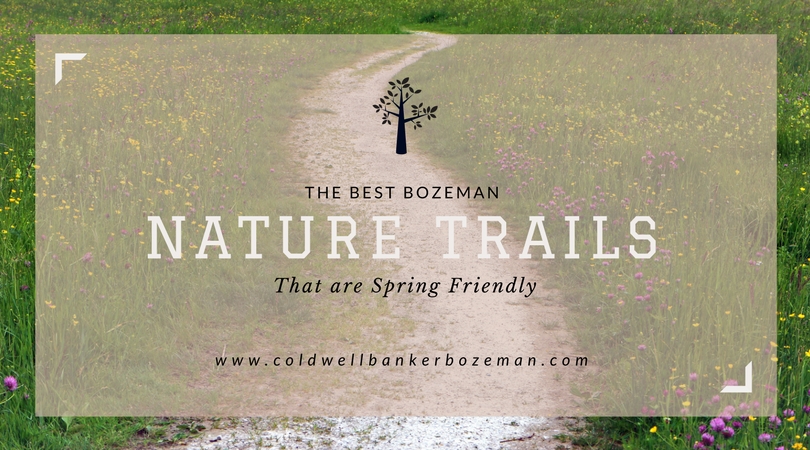 The Best Bozeman Nature Trails That are Spring Friendly Main Photo