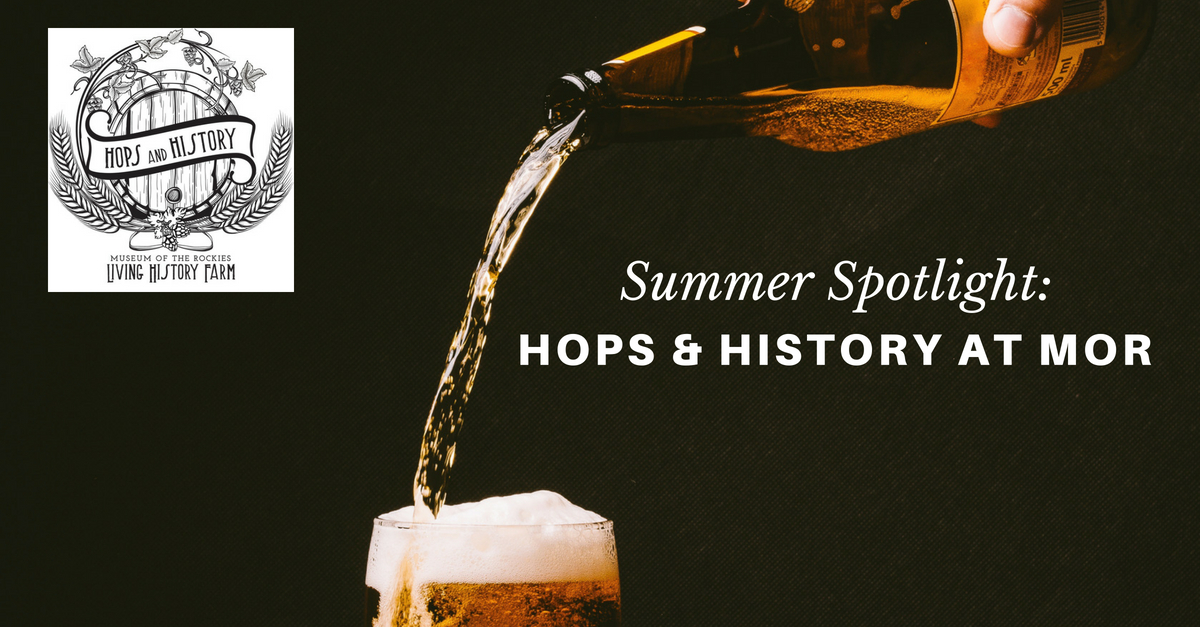 Summer Spotlight: Hops & History at MOR Main Photo