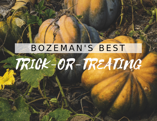 Bozeman Trick-or-Treating Main Photo