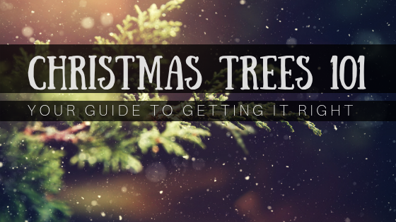 Christmas Trees 101 Main Photo